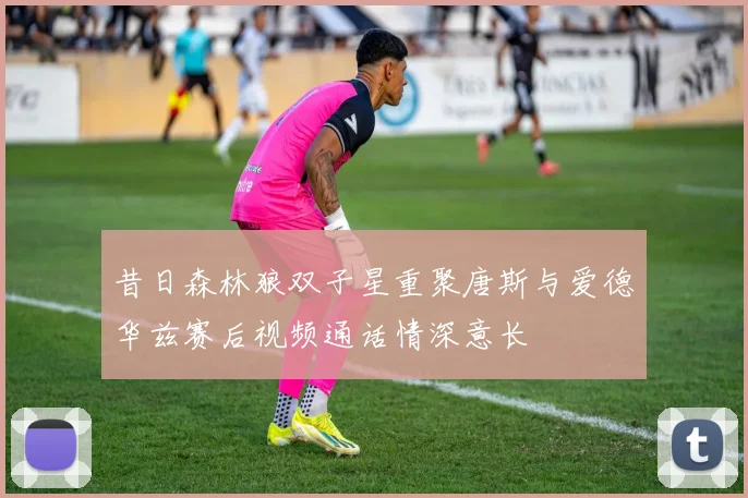 昔日森林狼双子星重聚唐斯与爱德华兹赛后视频通话情深意长