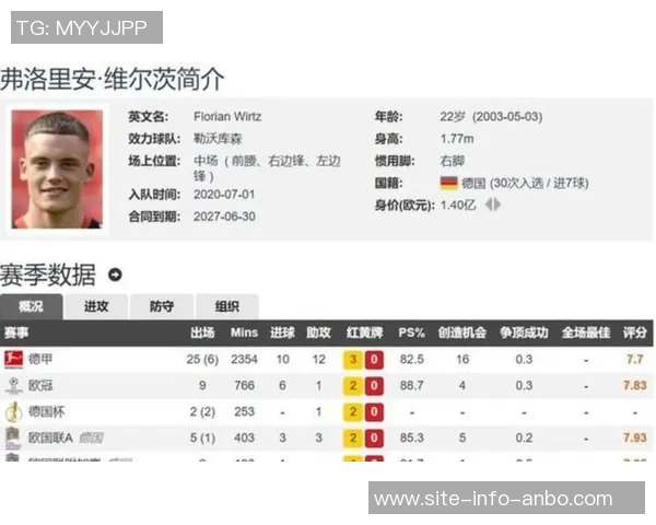 英超球衣价格飙升引发球迷购买仿冒品潮流现象分析